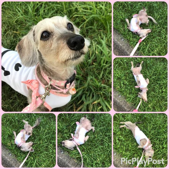 52eca8ec b4e5 4ef8 bd88 296feb8d27ec