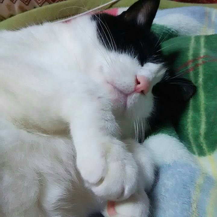 52ed425e 2775 4765 b2d4 2443aee1e4c0