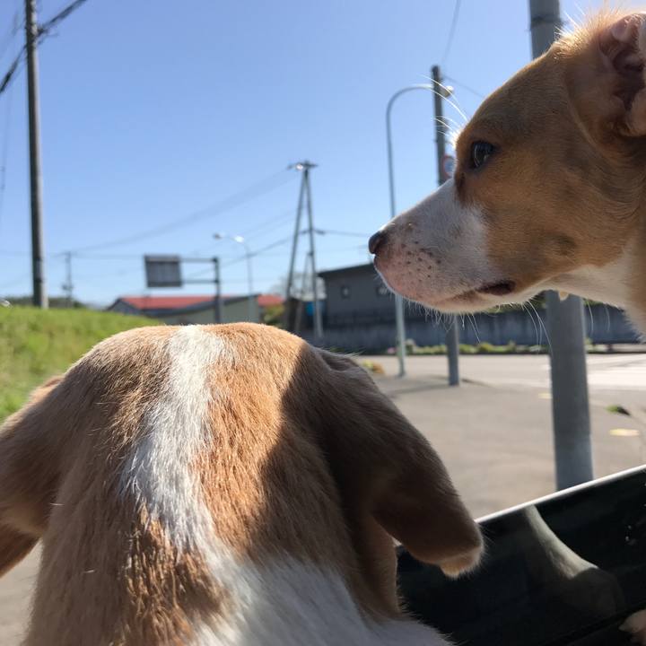 52ed58a6 5adf 4f17 b85a 3b5184738547