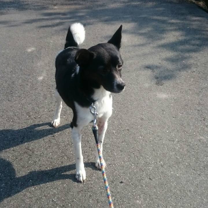 52ee29d8 17d0 48bf aa13 65ff028010ce