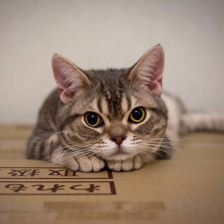 52ee55f3 16e9 47f2 bfd6 3d9dad1e794b