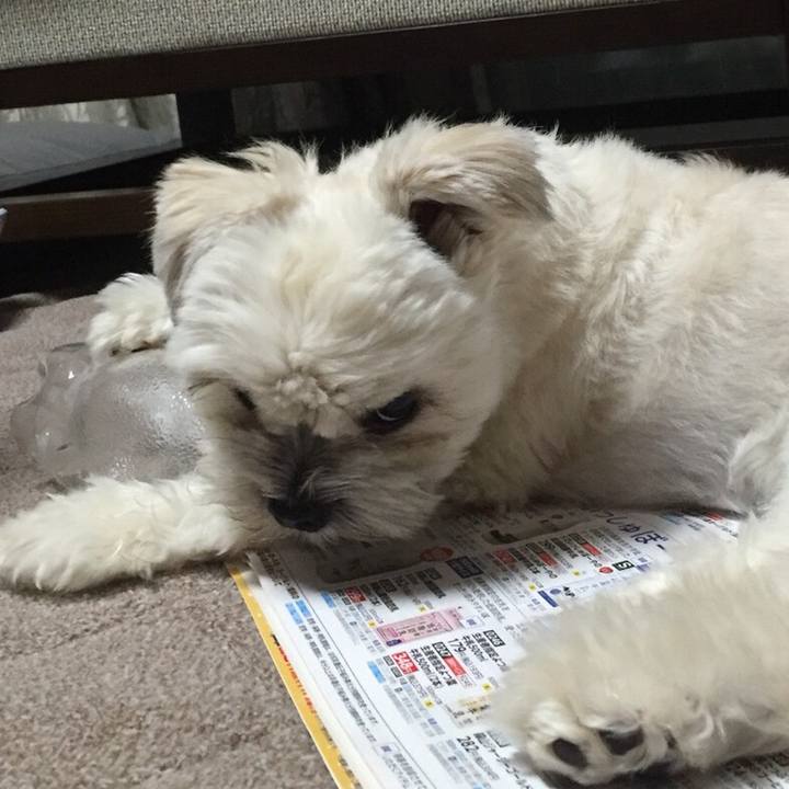 52ee5789 141b 4685 9aed 33a840292dfa