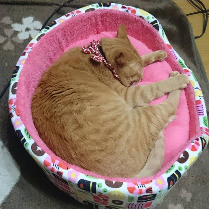 52ee7ac8 14ed 4467 a288 6121c1826863