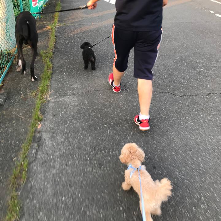 52ee84b6 5e29 4803 9384 ef7b40f9c33f