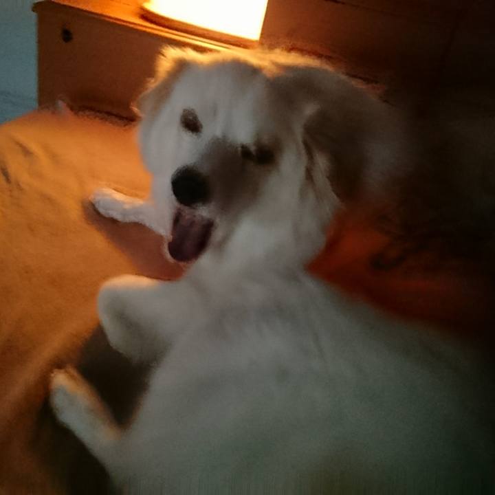 52eed1bd 8b88 4b45 837b c4341966bc5b