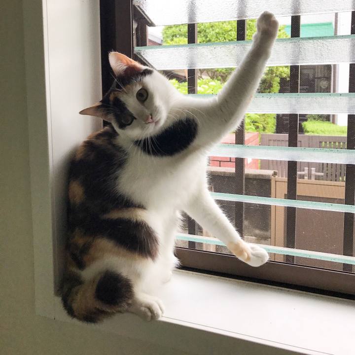 52efe1e5 f847 4c74 88cd 082a43f192c1