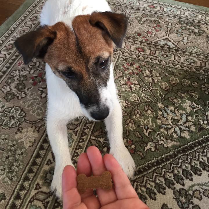 52f0029a f34d 4cd6 baee b68857493701