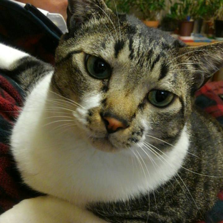 52f0118f 5f10 4006 8403 7ad17ccd503f