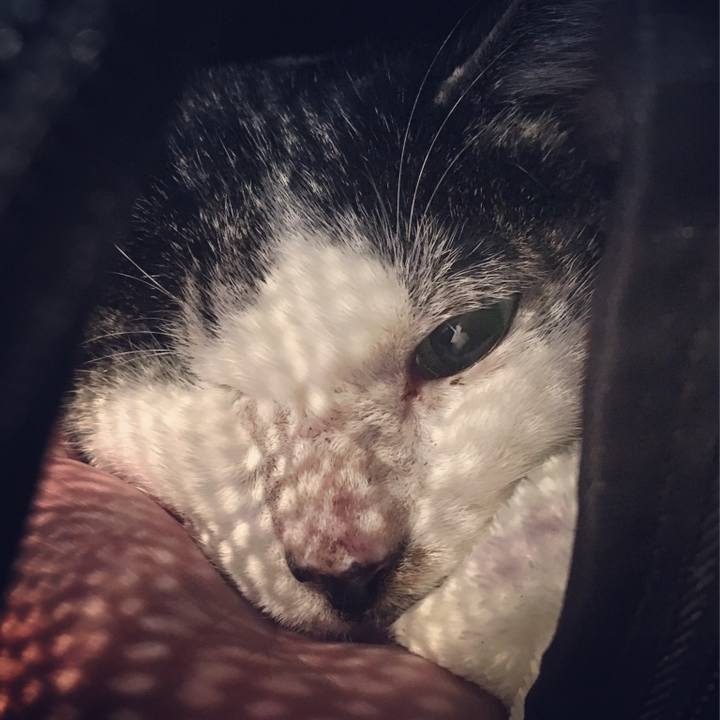 52f03051 8147 48c1 ad1c 6f2d18807c81