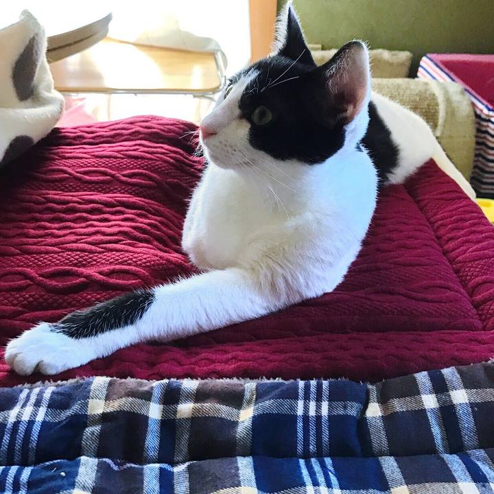 52f0d458 2954 41b5 8b32 c527b8b7d788