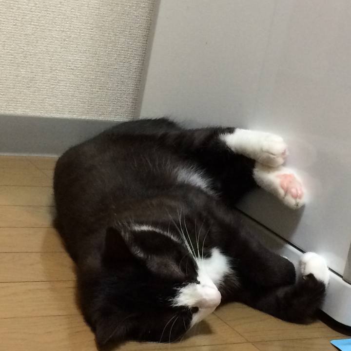 52f11194 2834 4d71 a931 17010e866fde