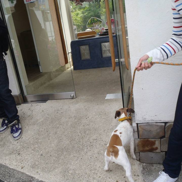 52f12da3 806a 4433 809c 8f55efc07f8a