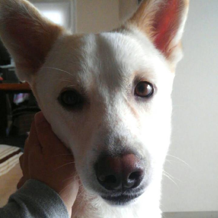 52f182c2 fb8b 4af6 81c4 c9a7b0f10e7c