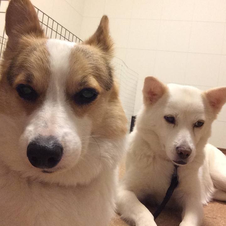 52f28dad f3e4 4223 a48c d3d3b54c8949