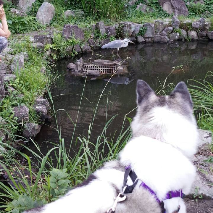 52f2d9d8 7750 430e b6c4 7e28da99715a