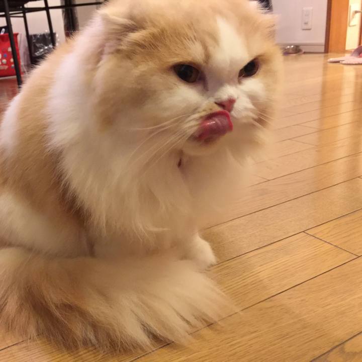 52f347b5 9980 4575 bfee 298cd9a193cc