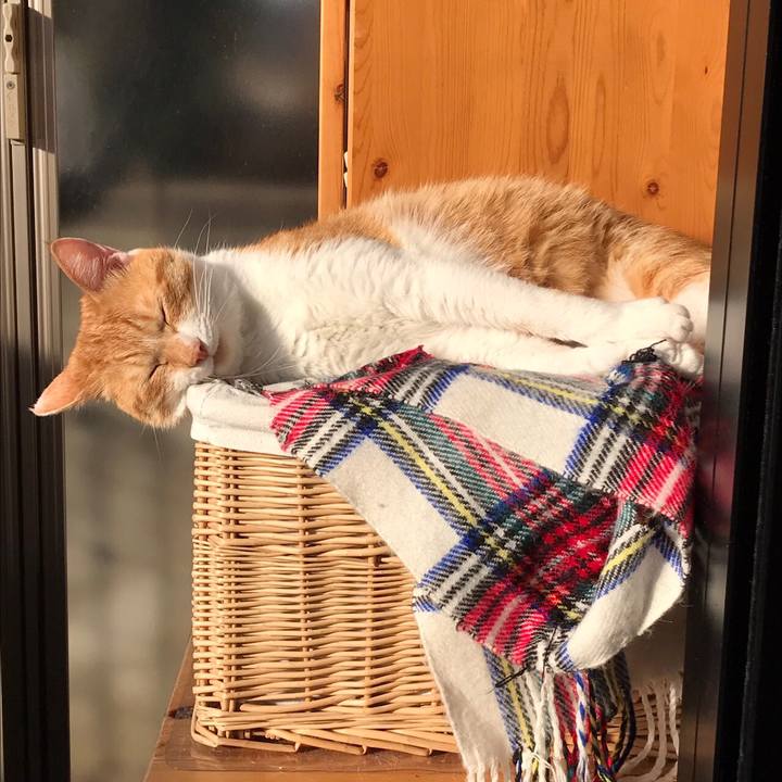 52f4be6e ee24 4a18 8b9b 5258d4fdb7b0