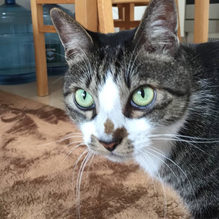 52f5048e b2b9 407a bf6e 2d2a8befa744