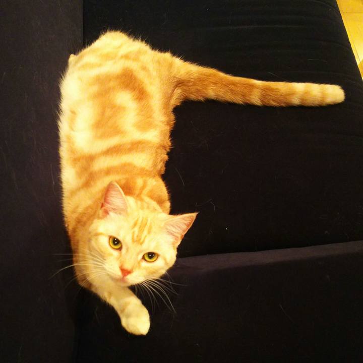 52f62ec2 647c 4405 8f17 15297a265bd3