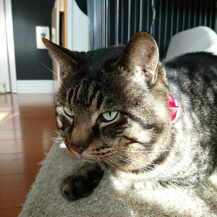 52f69db2 48d3 4916 ad2a c07829891163