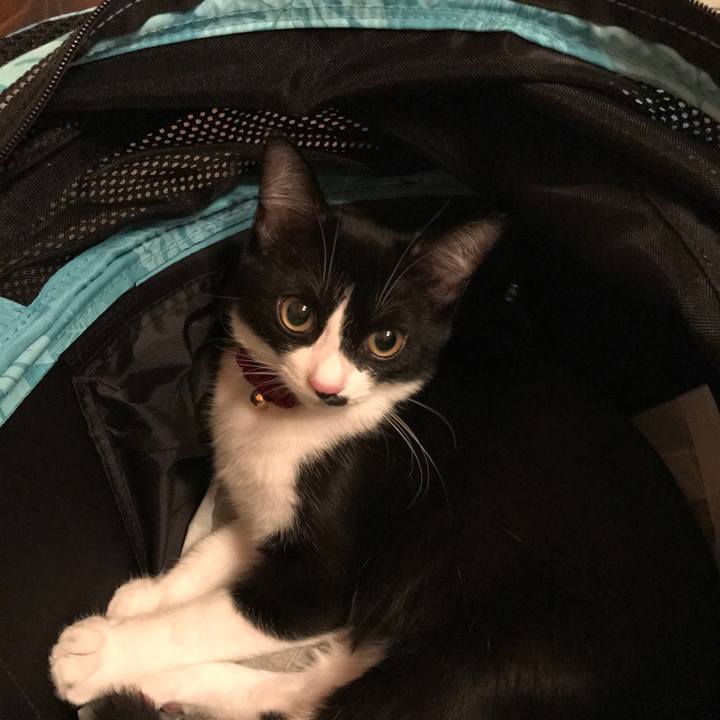 52f6c8e2 a15c 4742 91e1 3d3bc6ba9d81