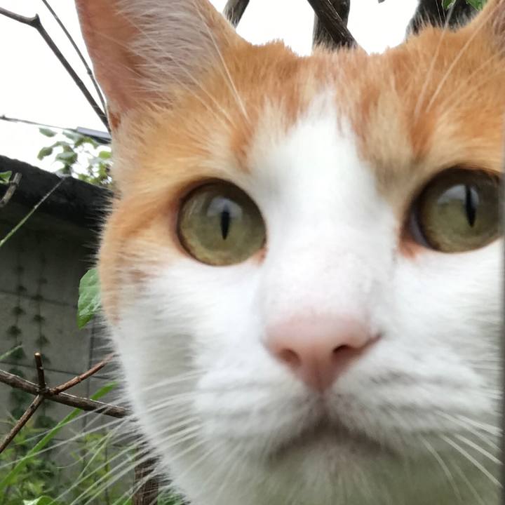 52f75bc0 6b1e 42f4 9f79 cbaa3333a513