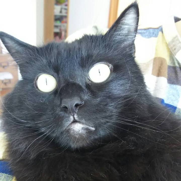 52f76193 e580 4d5c 88a6 d6fcf3c53b85