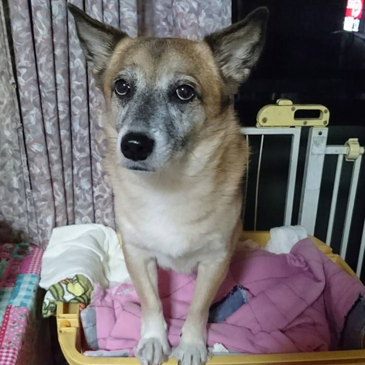 52f7979f 3a64 4404 8757 e498a2607cfb