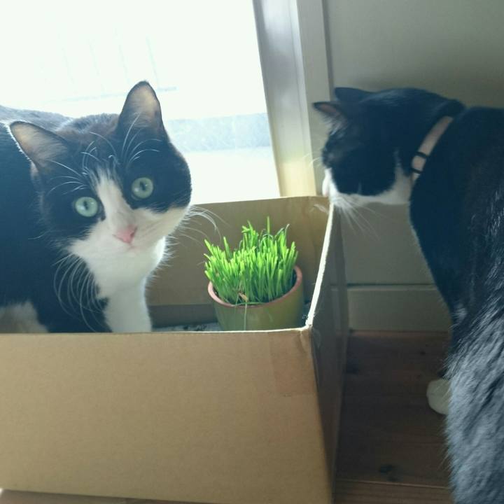 52f79d58 1aaa 4360 90e3 758b3613dad5