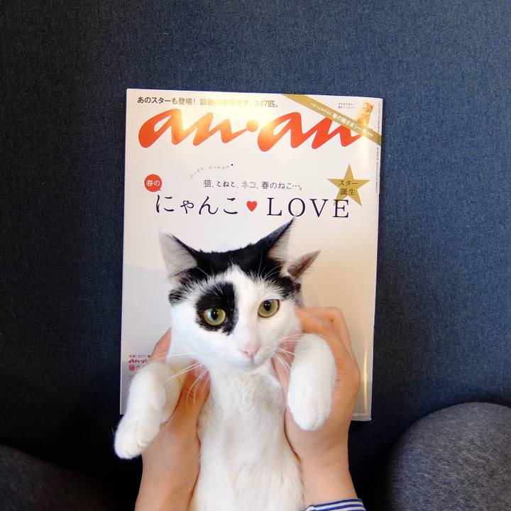 52f831c8 da1c 49b7 b5cb 26d741b8a708