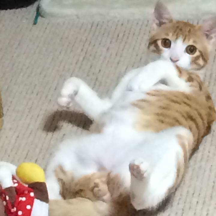 52f84a6b bf6b 4f67 858f 99224efb5a98