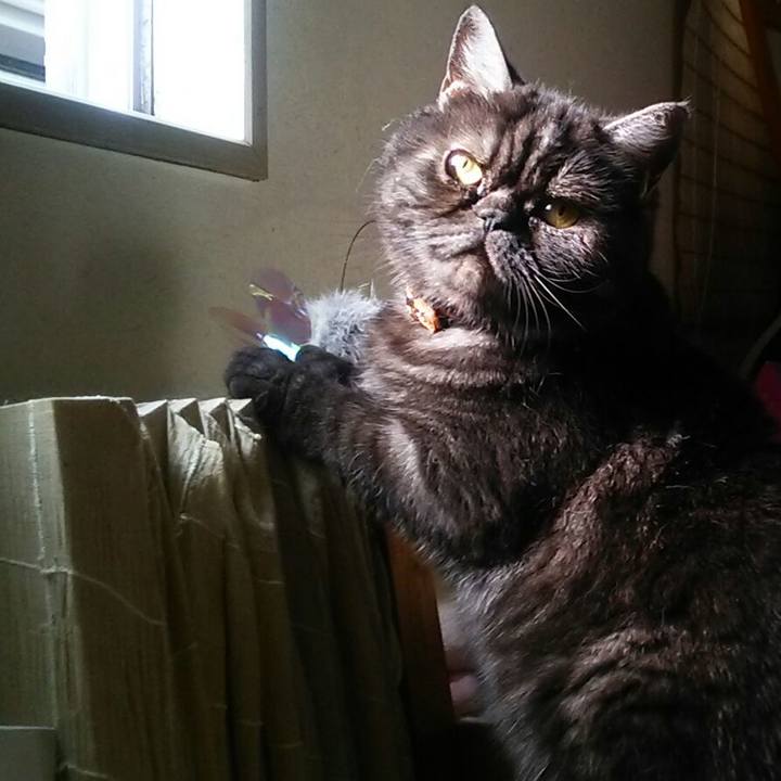 52f8b7c2 24cd 4b39 88d4 0106d90d01fb