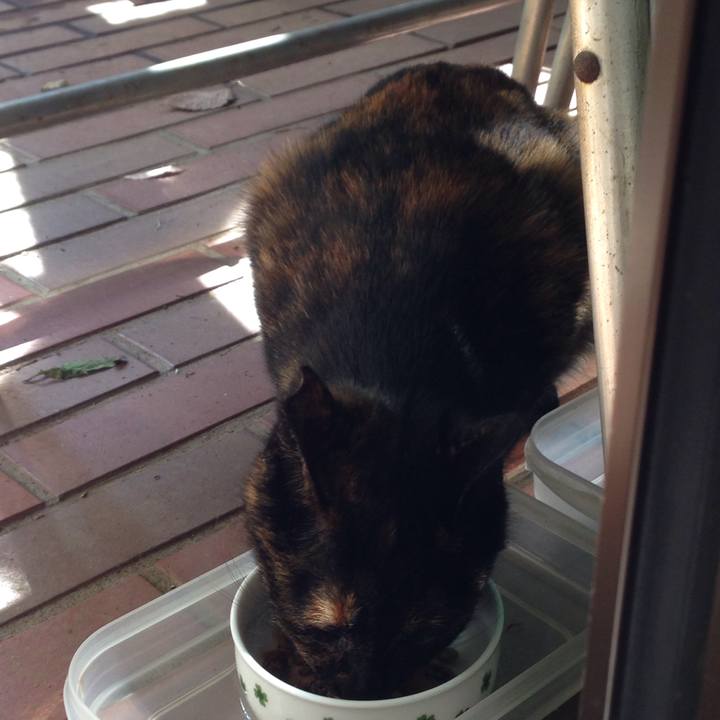 52f93f01 af68 42a2 b6aa c5f7e689f3cf