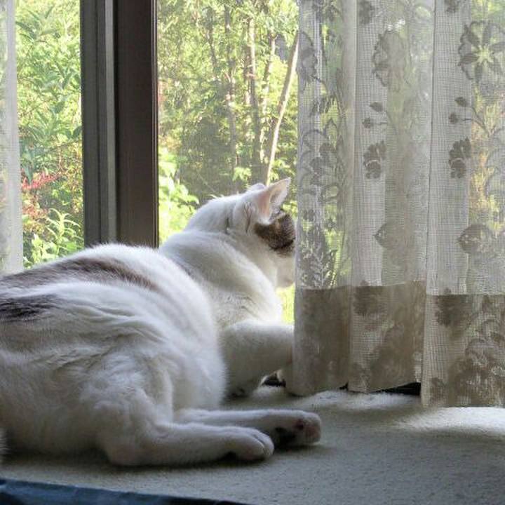 52fa0b08 e152 4c6f b338 9c41922659b3