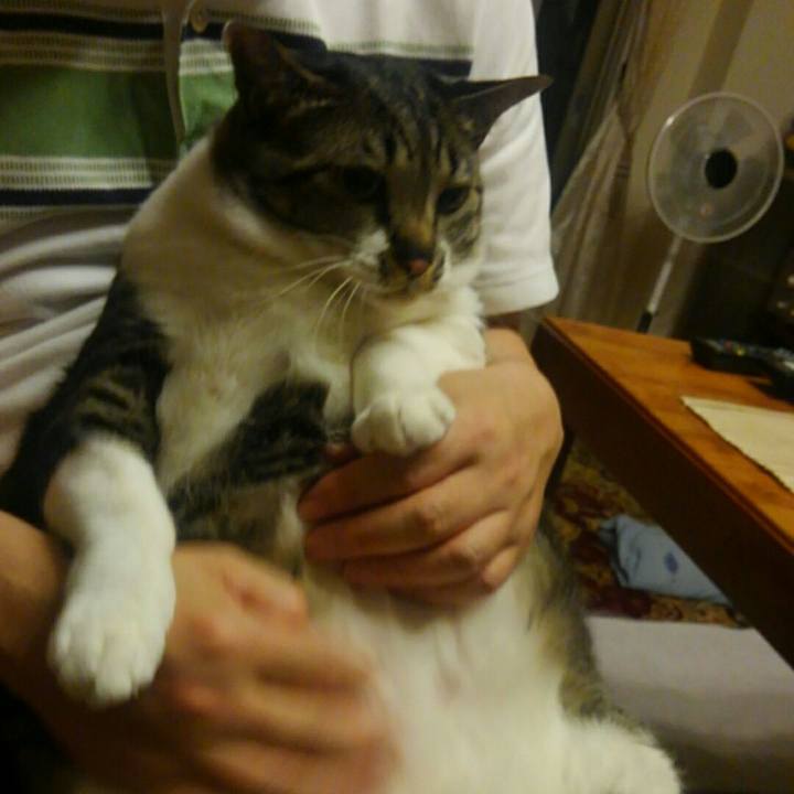 52fa7193 d78b 4c9c b481 d4a92346976e