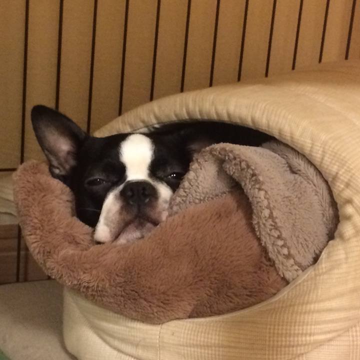 52faa9ba aef2 45a2 80ff 5ab5e8d1832b