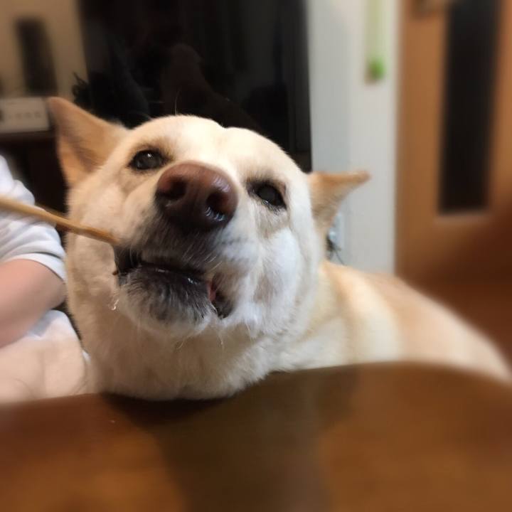 52fb03bd 8898 4d48 b7fc b21e41dffbf3