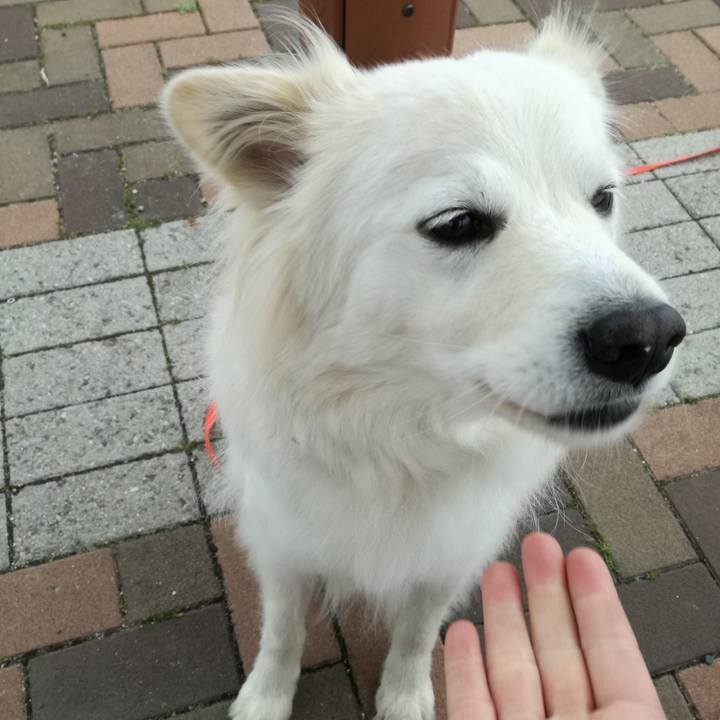 52fb99b1 2266 490a ac7b b870ffcab7ba