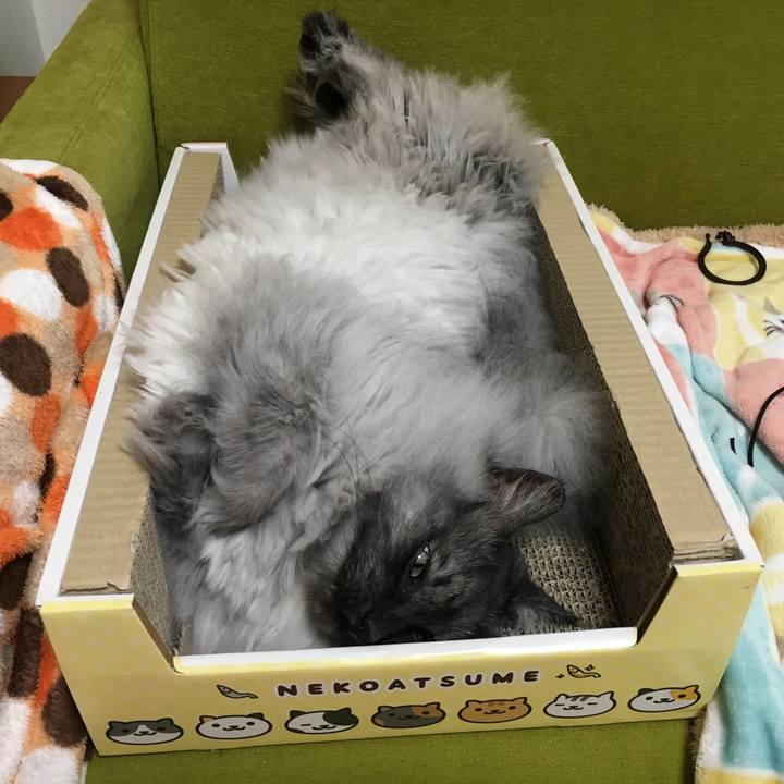 52fbe706 37f6 432f a08c 70bd6c3ae234