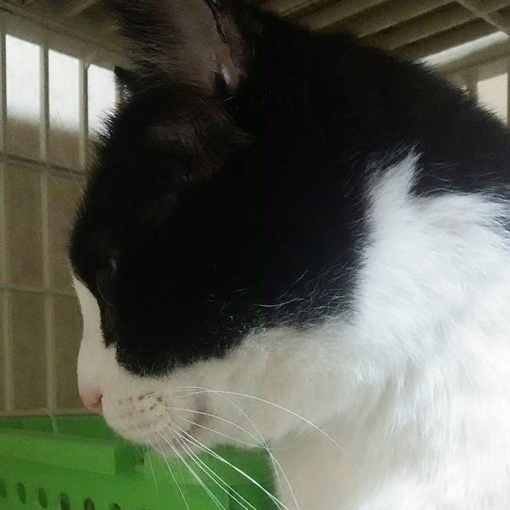 52fc447e 52f8 45e9 9f26 21bfee3b9a5f