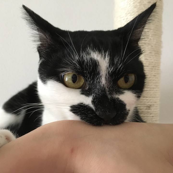 52fc498c 5e6f 4cc7 b155 7dbaa642ba50