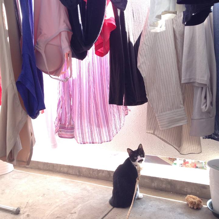 52fd517c d060 4ced 99fb a822f987832a