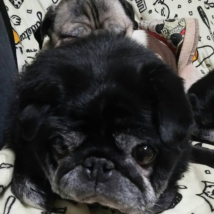 52fd9909 d95e 409a 81c0 a6bd056ba60e