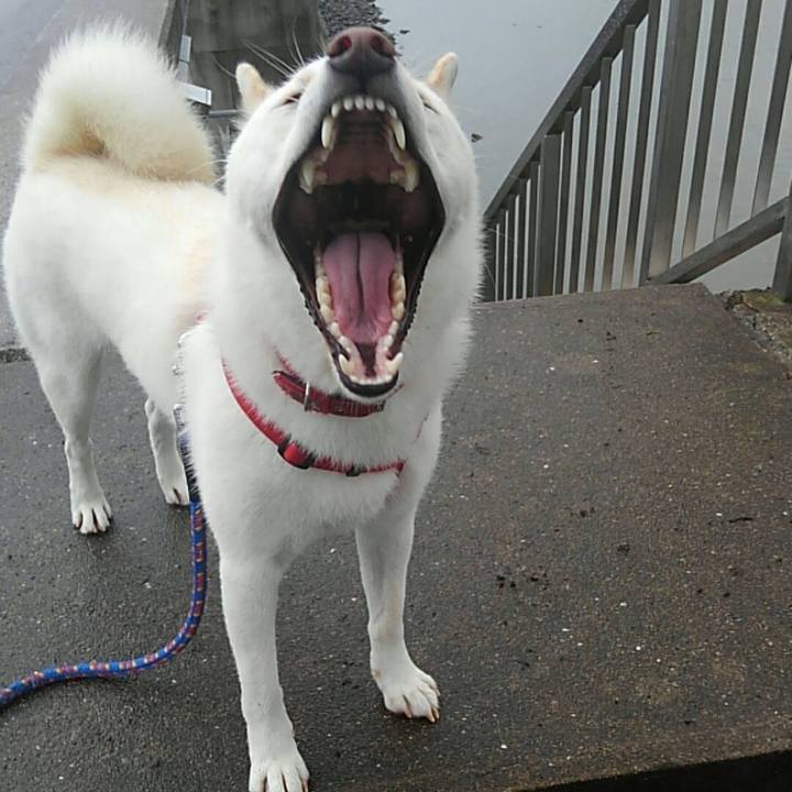 52fda3a9 3854 4728 b16b f51d391238e7