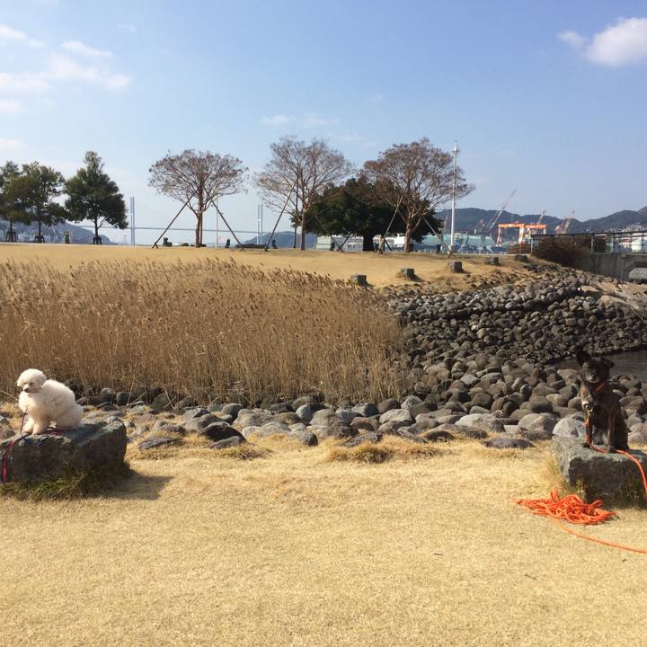 52fe5e6e 5d26 4301 b3e8 60376584f603