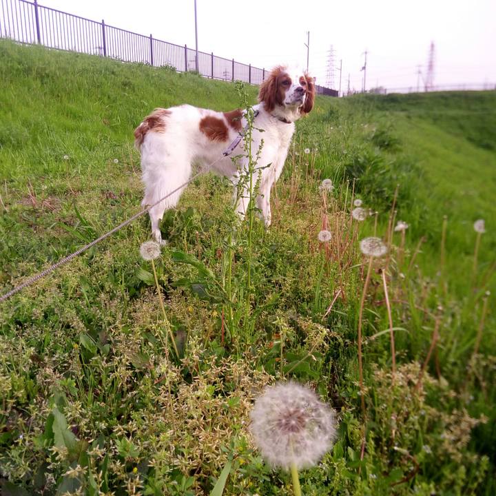 52ff264e 2ccc 4f3f 9382 d144163337eb