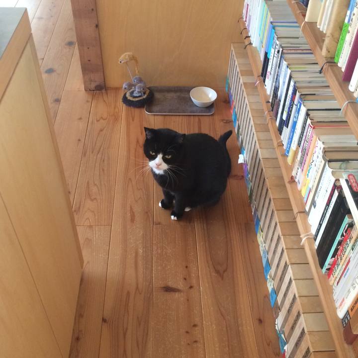 52ffe770 ee7a 4dd4 8f46 63e9e1676477