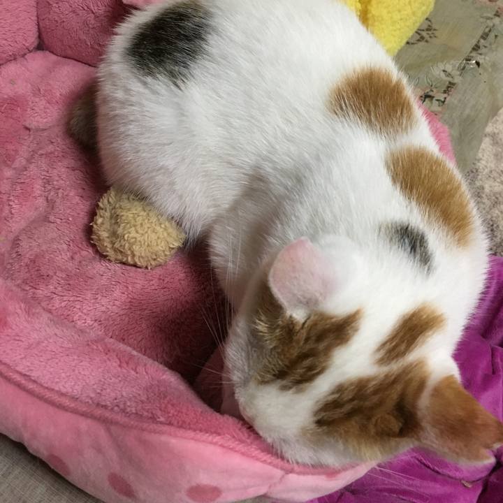 5300111b c48e 4b5e aa40 6f103a2883bb