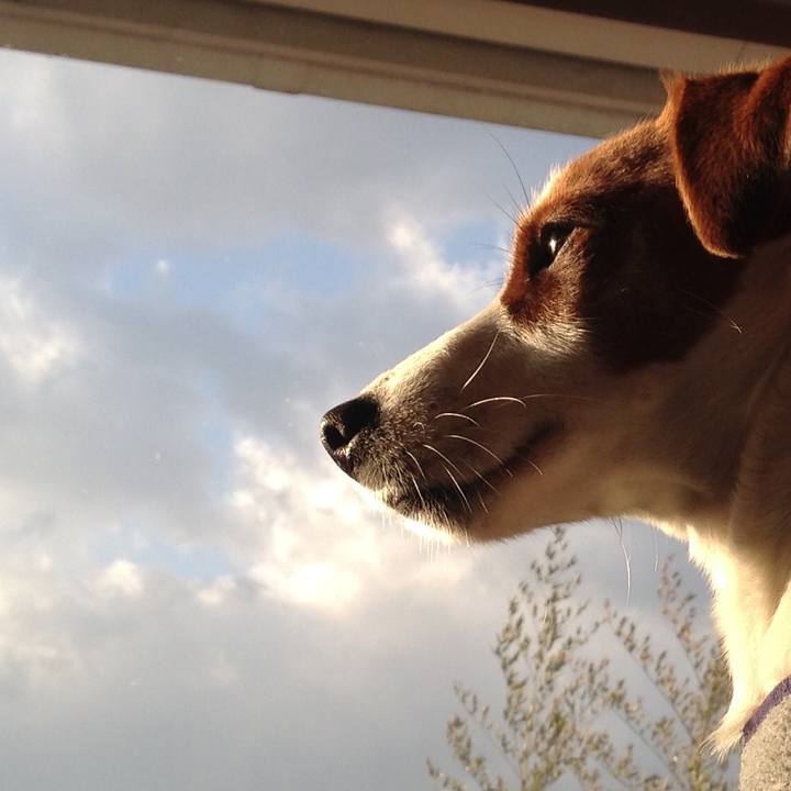 530038cb f7c7 400c 9bf0 e7c0cc009f22