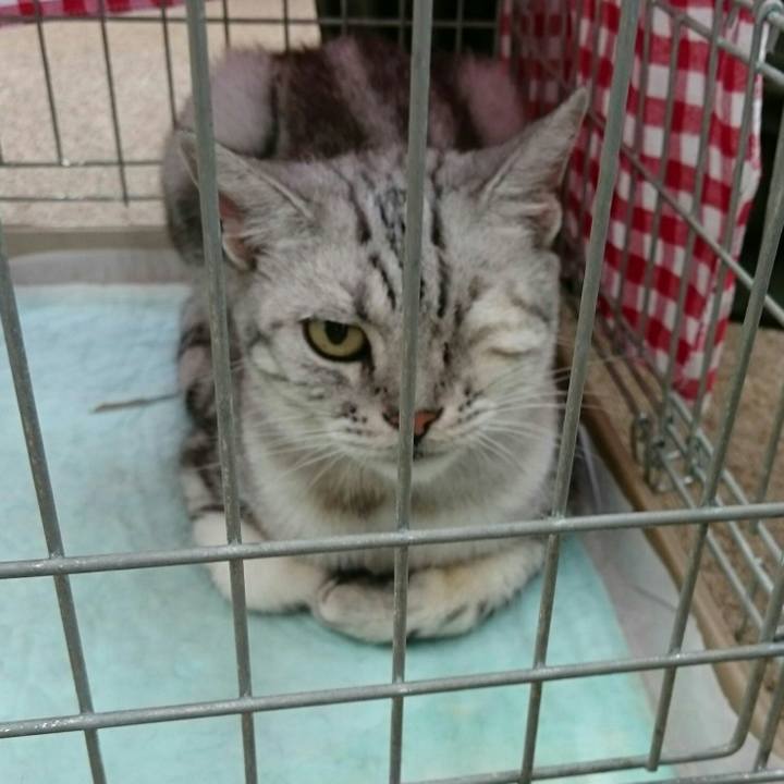 53007ff3 4adc 4756 9c2e 4a007d7d3385